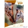 Ars Una Gumis mappa A4 25 Icons Of The Wild-Giraffes 50215058 350gr vastag kartonból