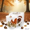Bögre porcelán 400ml dobozban, Squirrel