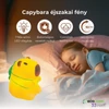 Capybara éjszakai fény