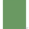 Dekorkarton 2 oldalas 50x70cm 300 g 10lap FOLIA mohazöld