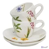 Eszpresszó csésze aljjal COLORS OF NATURE porcelán Díszdobozban