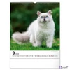 Falinaptár 2026 Cats 6087-CA spirálos 30×34cm Realsystem 2026 kollekció!