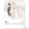 Falinaptár 2026 Horses 6087-HO spirálos 30×34cm Realsystem 2026 kollekció!
