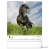 Falinaptár 2026 Horses 6087-HO spirálos 30×34cm Realsystem 2026 kollekció!
