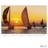 Falinaptár 2026 T091 Sailing Toptimer 2026 kollekció!