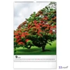 Falinaptár 2026 Trees spirálos 33×46cm Realsystem 2026 kollekció!