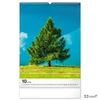 Falinaptár 2026 Trees spirálos 33×46cm Realsystem 2026 kollekció!