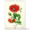 Falinaptár Vintage Posters – H spirálos 33 × 46 cm Realsystem 2026 kollekció!