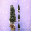 Fenyőfa 80cm jutazsákban 3féle KPM25