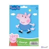 Fólia lufi, Zsoli Pig 24