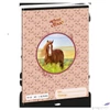 Kép 1/2 - Füzet 12-32 A5 vonalas Ars Una My Sweet Horse (5358) 24 ló 53603494 3.osztályos prémium minőségű fü
