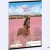 Kép 1/2 - Füzet 16-32 A5 vonalas Ars Una Wild and Free (5359) 24 LÓ 53593597 2.osztályos füzet prémium minős