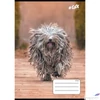 Kép 1/2 - Füzet 27-32 A5 kockás 32 Lap, Cool By Victoria Dogs