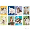 Füzet A4 Blasetti vonalas 80g 42 lapos Cucciolissimi 8271M