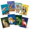 Füzet A4 kockás Blasetti 100g 50lap  SKIN ANIMAL 8523