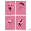 Kép 1/5 - Füzet A/4 Pigna Monocromo pink kockás 38 Lapos 02330125M