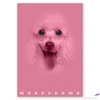 Kép 5/5 - Füzet A/4 Pigna Monocromo pink kockás 38 Lapos 02330125M