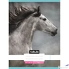 Kép 7/10 - Füzet 80-32 A4 sima Nebulo L-Design minták A minta nem választható! 32lap/70g