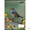 Kép 2/2 - Füzet A4 vonalas 32 lapos 81-32 COOL BY VICTORIA, Little birds, ISVFC83
