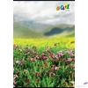 Kép 2/2 - Füzet A4 vonalas 80lap 81-32 COOL BY VICTORIA, Landscape ISVFC88