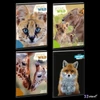 Füzet 27-40 A5 kockás Ars Una Icons of the Wild (5495) 25' 53144928 A/4 kockás füzet 40lapos 75gr-o