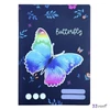 Füzet vonalas 12-32 A/5 OXY 3. Butterfly 32 lapos