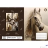 Kép 2/5 - Füzetborító A5 Horses T-Creativ, vegyes minták 