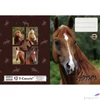 Kép 4/5 - Füzetborító A5 Horses T-Creativ, vegyes minták 