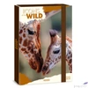 Kép 2/2 - Füzetbox A4 Ars Una 25 Icons Of The Wild-Giraffes (5505) 25 50855056