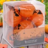 Halloween fényfűzér 10 led-del, 2 különböző mintával: kpm25