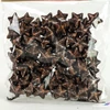 Kép 2/2 - Hungarocell csillag kicsi csillámos csoki, 2cm 