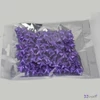 Hungarocell csillag kicsi csillámos sötétlila, 2cm