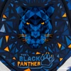 Kép 3/8 - Ars Una iskolatáska M Black Panther – anatómiai - Akciós áron!