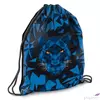 Kép 7/7 - Iskolatáska szett Ars Una 22' Black Panther M  (5082) táska, tolltartó, tornazsák