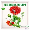 Falinaptár 2026 Herbarium 6097-HE lemeznaptár 30×30cm Realsystem 2026 kollekció!