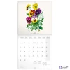 Falinaptár 2026 Herbarium 6097-HE lemeznaptár 30×30cm Realsystem 2026 kollekció!