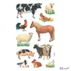 Matrica papír 3 ív 76x120 mm AVERY ZWECKFORM Z-Design No.53720