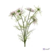 Selyemvirág művirág pillangó Cosmos bipinnatus Jalisha purple 66cm kerti pillangó virág Holland DST5