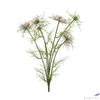 Kép 1/3 - Selyemvirág művirág pillangó Cosmos bipinnatus Jalisha purple 66cm kerti pillangó virág Holland SDDST5
