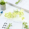 Selyemvirág művirág vadmuro Daucus carota white DST53