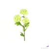Kép 2/3 - Selyemvirág művirág hortenzia labdarózsa Viburnum green bangita 61cm Holland SDDST53
