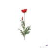 Kép 2/3 - Selyemvirág - művirág pipacs Papaver Joleen red piros pipacs mákvirág 72cm Holland SDDST53