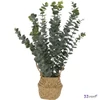 Selyemvirág művirág '23 eucalyptus kosárban kpm