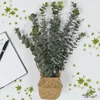 Selyemvirág művirág '23 eucalyptus kosárban kpm