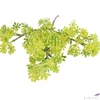 Kép 3/4 - Selyemvirág - művirág rezgő Gypsophila yellow 65cm fátyolvirág Holland SDDST53