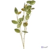 Selyemvirág művirág pénzvirág Lunari annua L green 96cm Holland holdvirág DST53