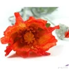 Kép 1/3 - Selyemvirág - művirág pipacs Papaver Joleen orange narancssárga mákvirág Holland SDDST53