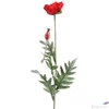 Kép 3/3 - Selyemvirág - művirág pipacs Papaver Joleen red piros pipacs mákvirág 72cm Holland SDDST53