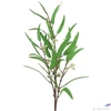 Kép 1/3 - Selyemvirág - művirág fűz Salix M green 98cm Holland SDDST53