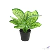 Kép 2/2 - Selyemvirág - művirág zebrale Calathea green 28cm Holland SDDST53